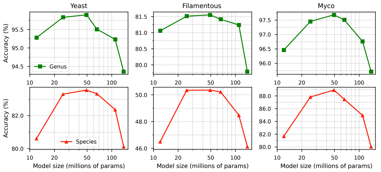 BarcodeMamba+: Advancing State-Space Models for Fungal Biodiversity Research