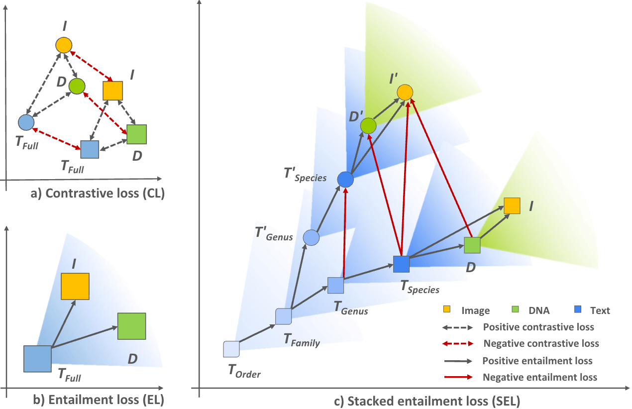 Hyperbolic Multimodal Representation Learning for Biological Taxonomies