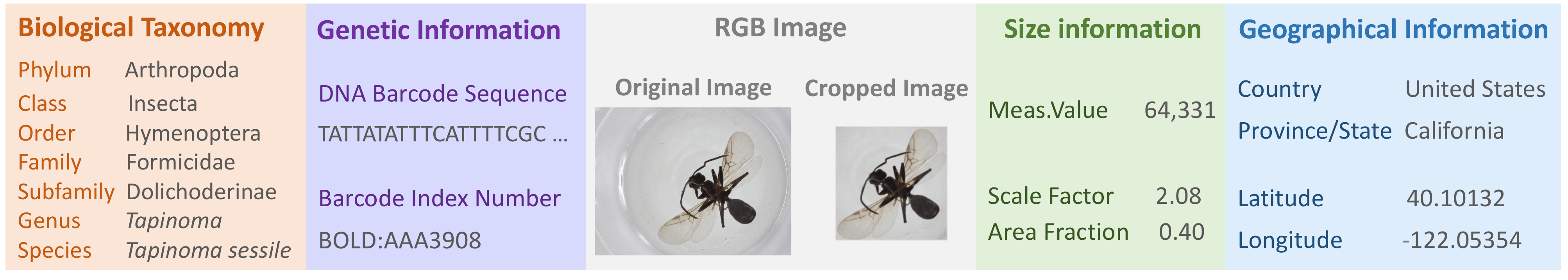 BIOSCAN-5M: A Multimodal Dataset for Insect Biodiversity